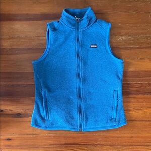 Patagonia Blue Fleece Vest